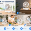 SK-13 DESK FANS SCENE SK-13-DESK-FANS