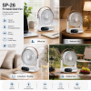 SP-26 DESK FANS SCENE 5 SP-26 DESK FANS